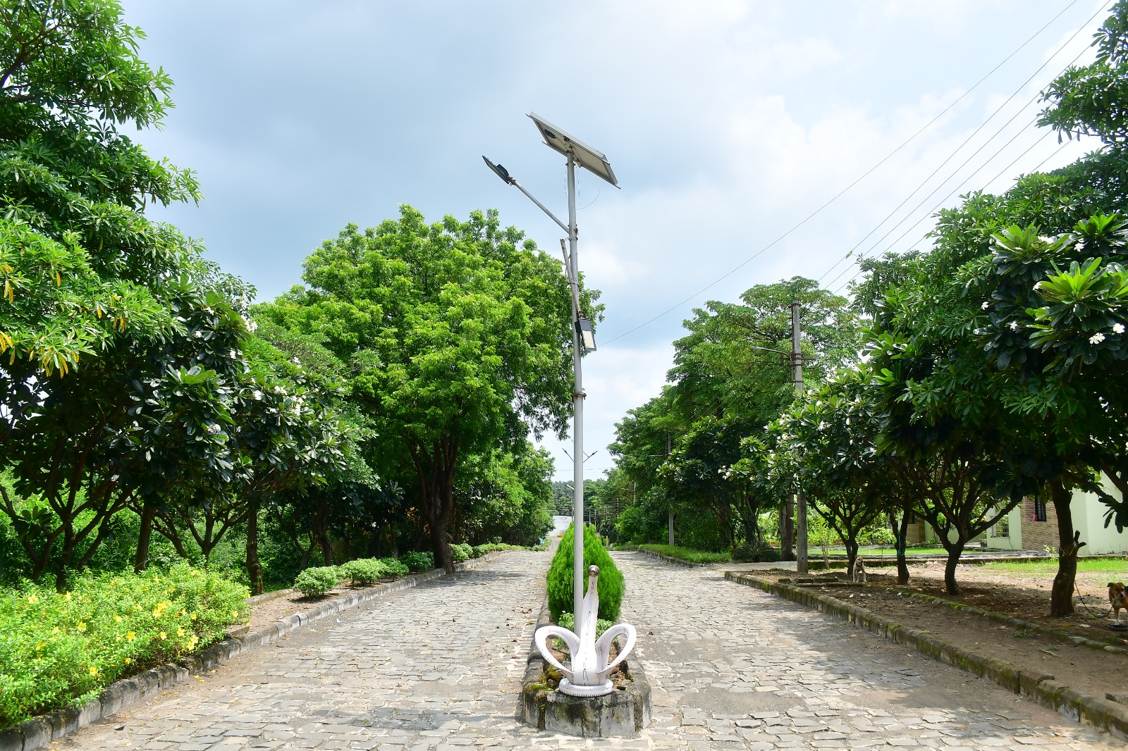 Pathway through the Resort